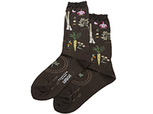 Antipast Salad Socks